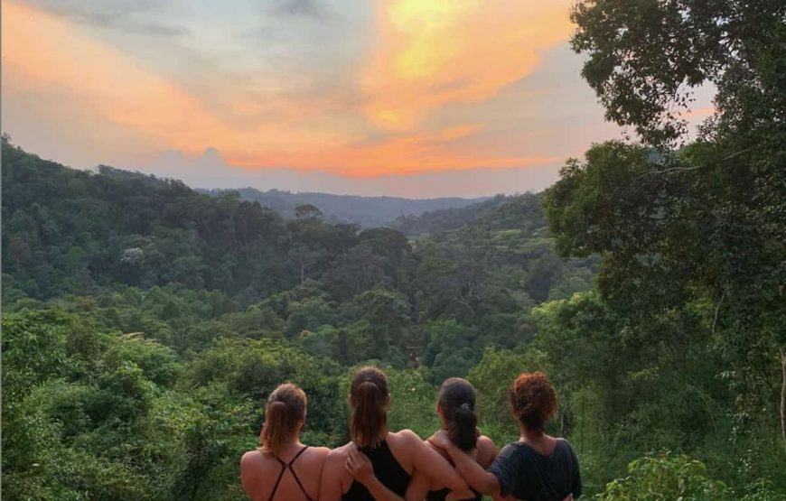 Elephant & Jungle Trek Tour