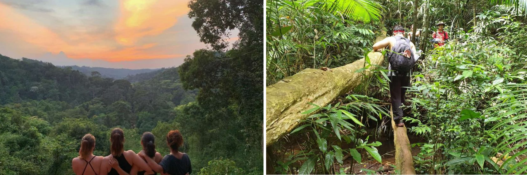 Elephant & Jungle Trek Tour