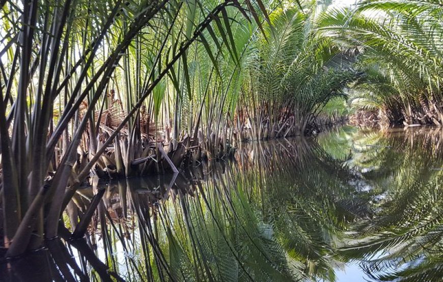 Kayaking Tour