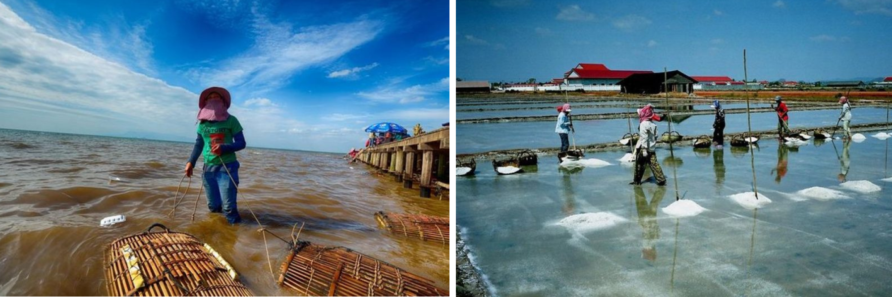 Kep and Kampot Excursion tour