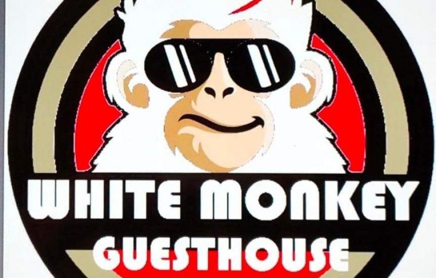 White Monkey